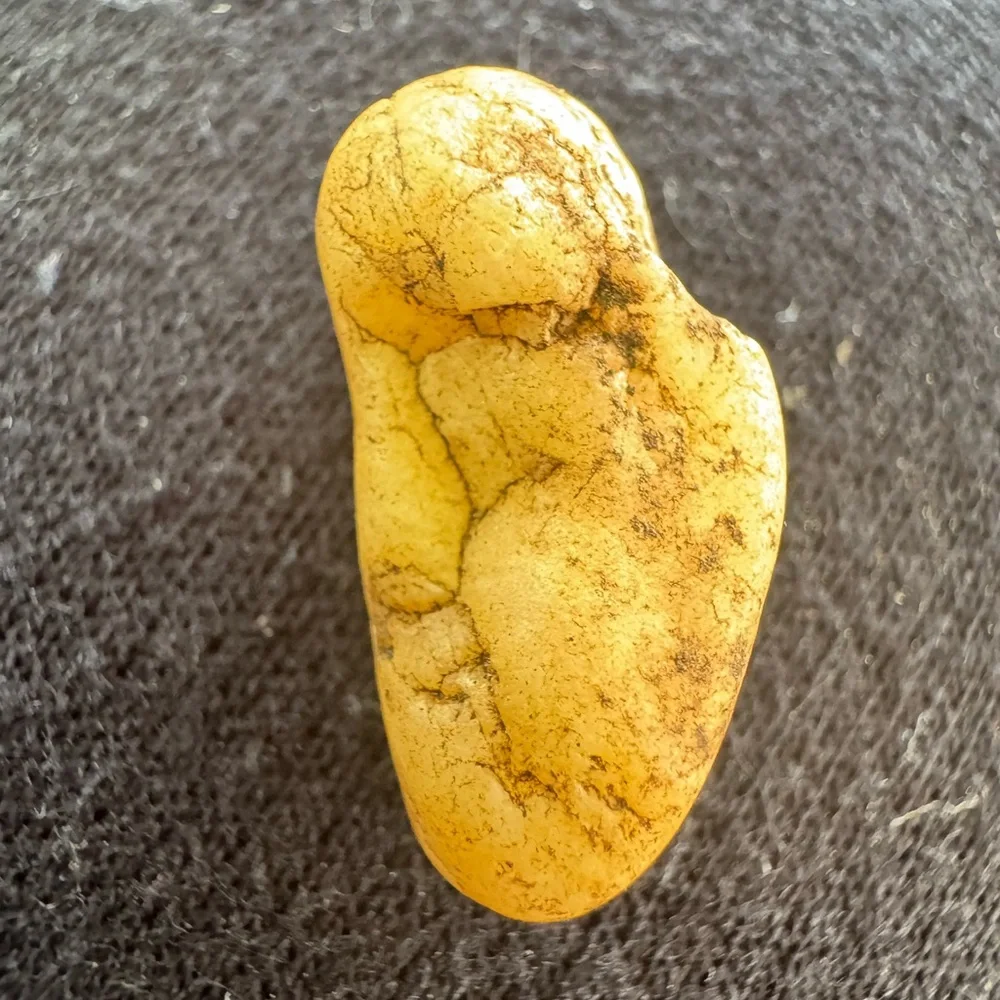 A rock with a story, beautiful vining